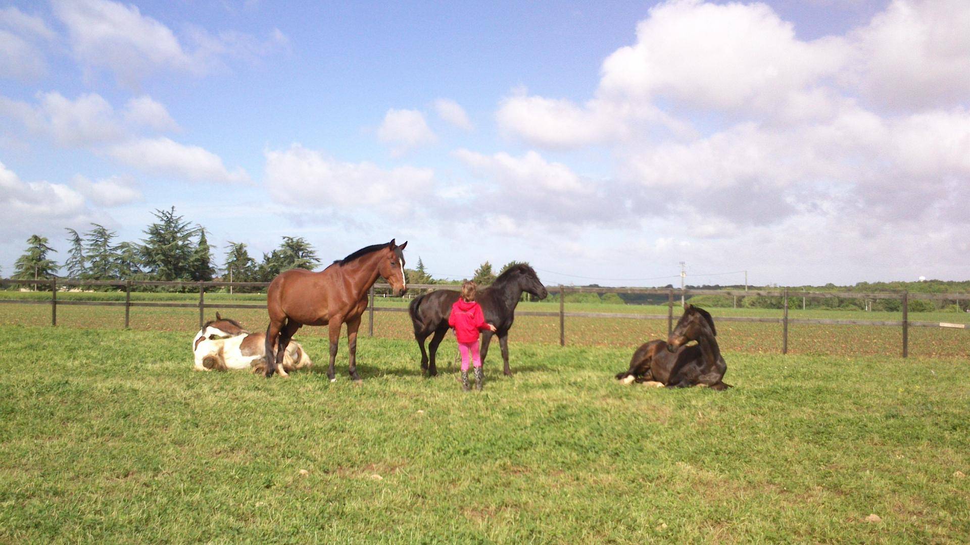 Equilogic-Farm-slider-2