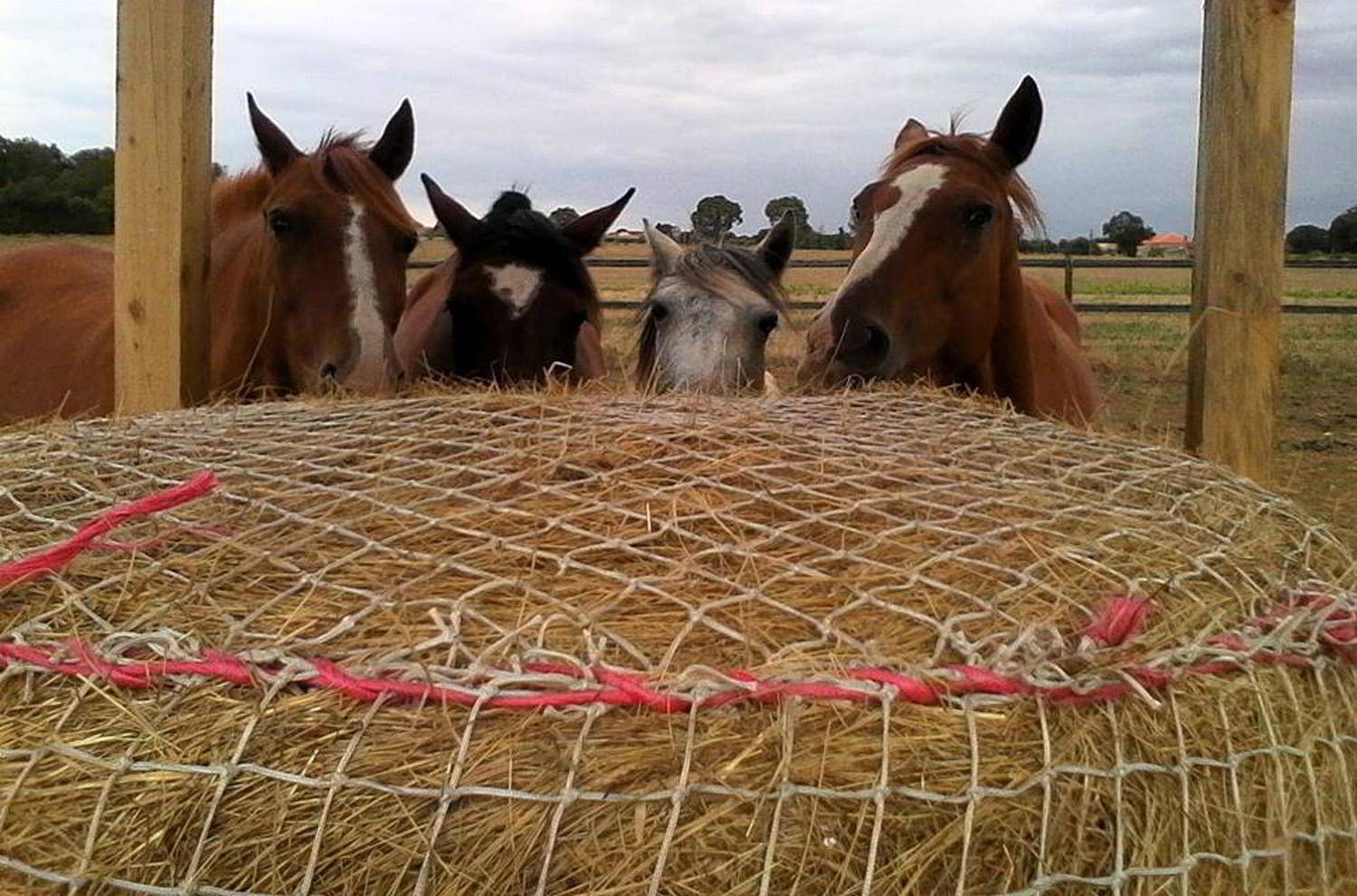 Equilogic-Farm-slider-4