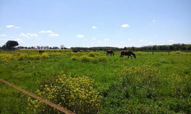 Equilogic-Farm-slider-5