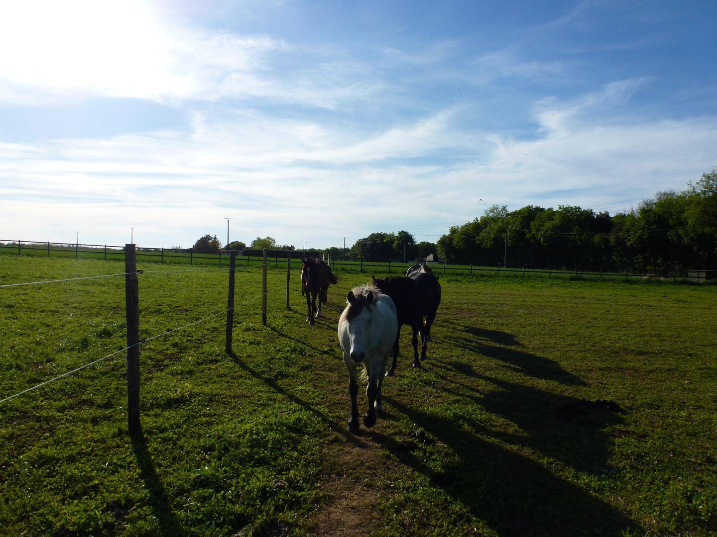Equilogic-Farm-slider-9