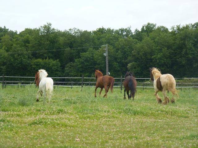 Equilogic-Farm-slider-10