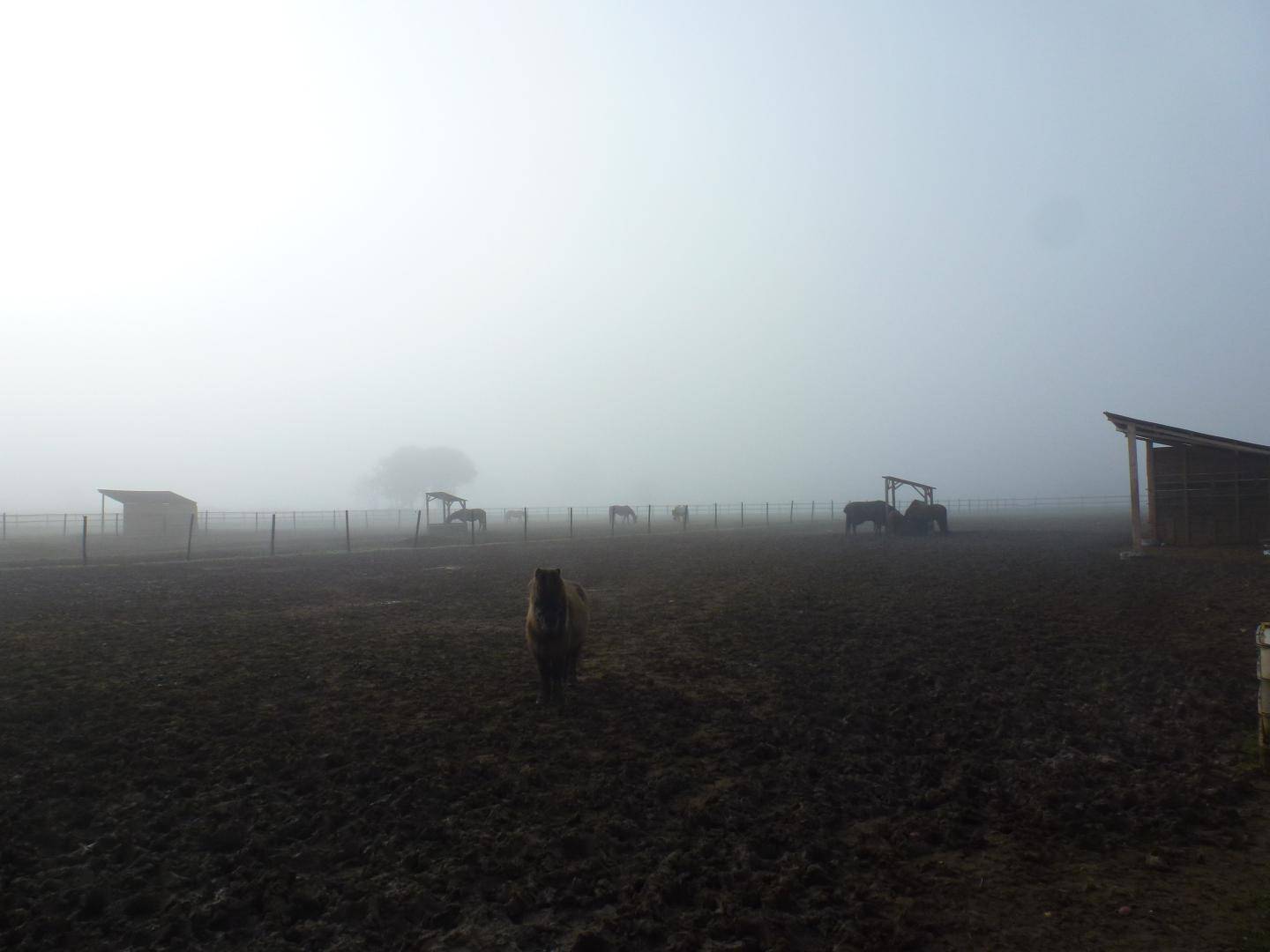 Equilogic-Farm-slider-11