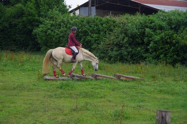 Equilogic-farm-mountain-trail-2