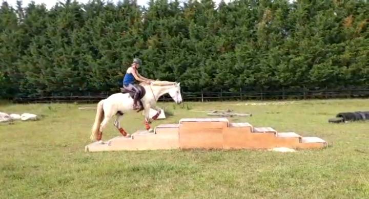 Equilogic-farm-mountain-trail-3