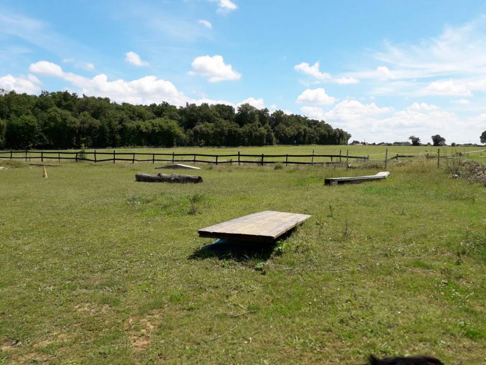 Equilogic-farm-mountain-trail-4