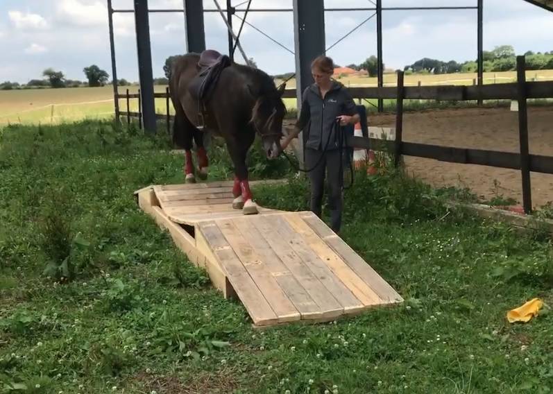 Equilogic-farm-mountain-trail-7
