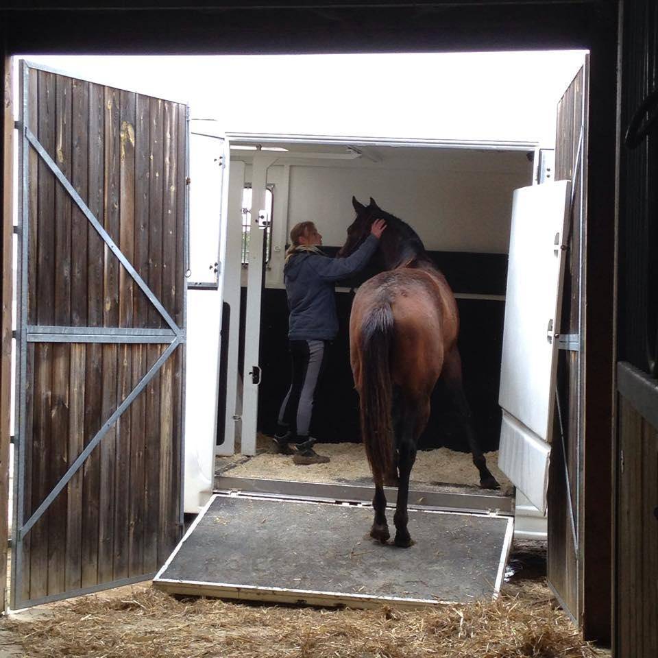 Equilogic-farm-prestations-1