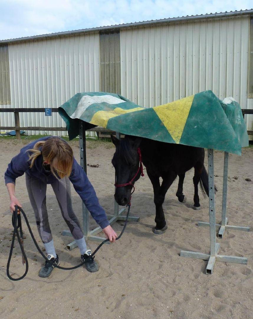 Equilogic-farm-prestations-2