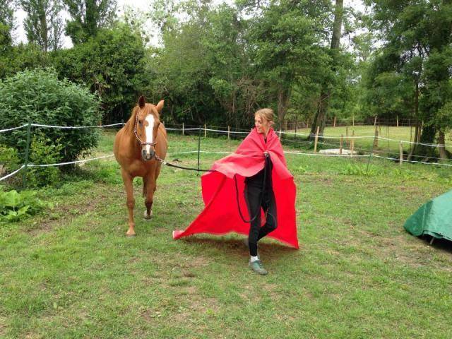 Equilogic-farm-prestations-5