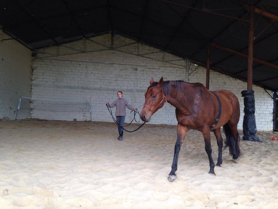 Equilogic-farm-prestations-6