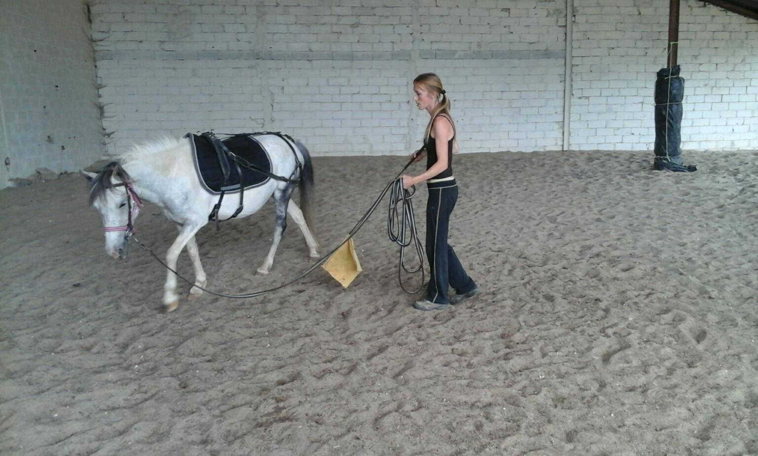 Equilogic-farm-prestations-7
