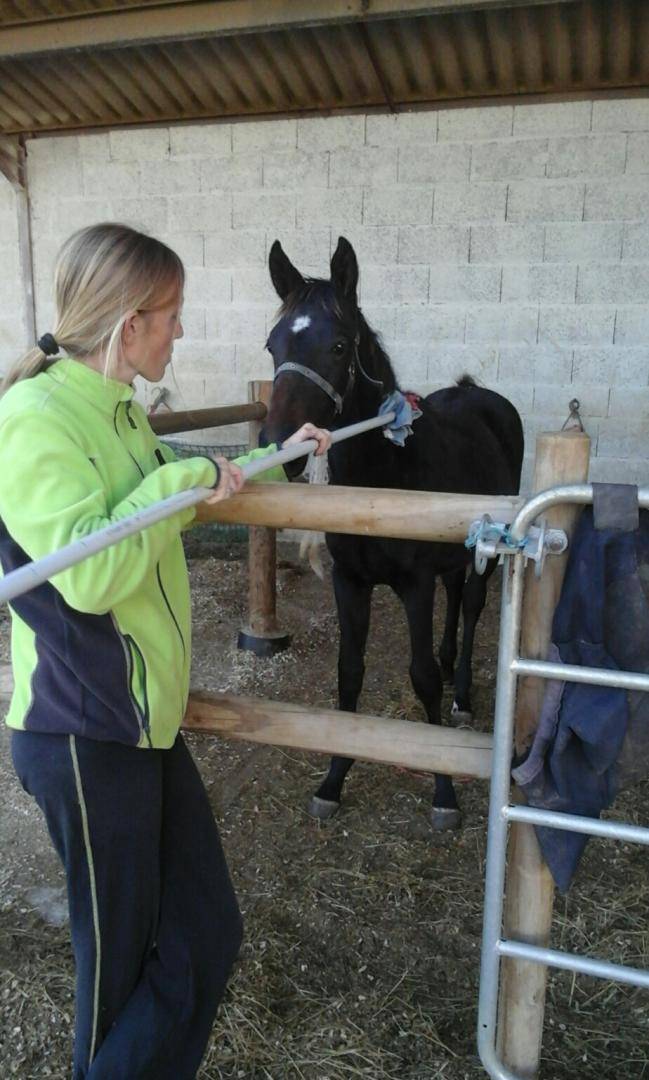 Equilogic-farm-prestations-9