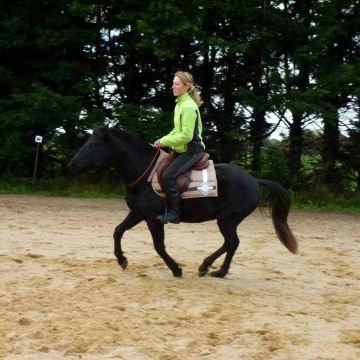 Equilogic-farm-prestations-11