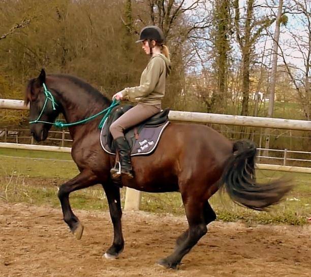 Equilogic-farm-prestations-12