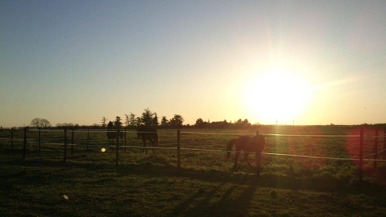 Equilogic-farm-prestations-17