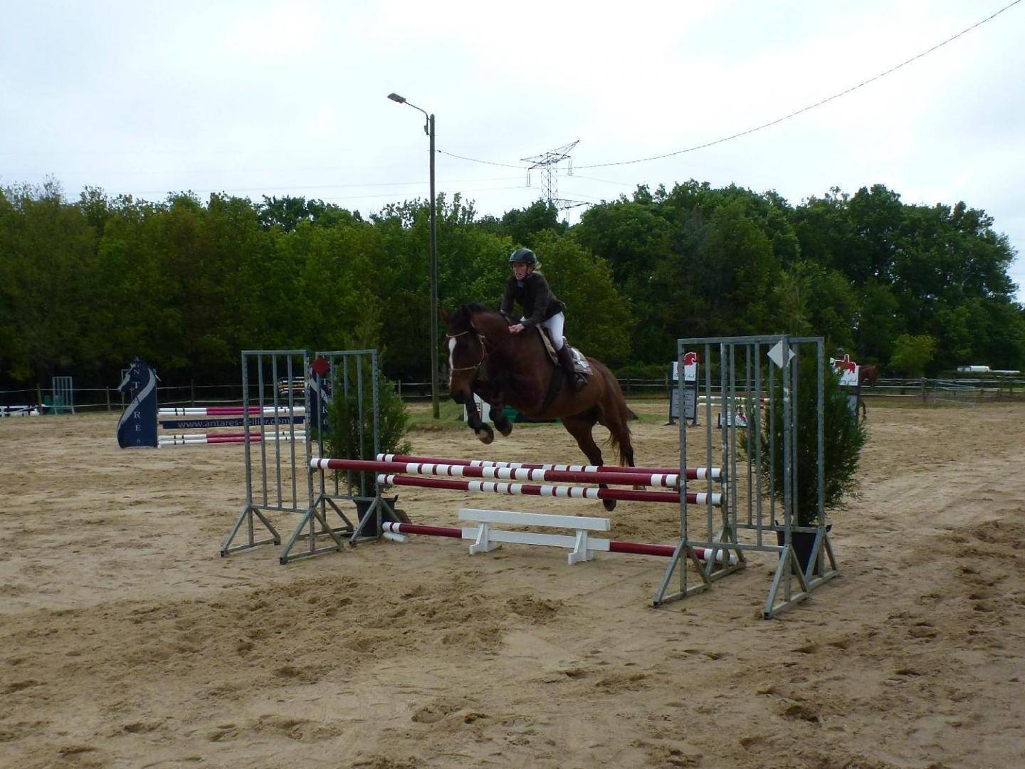 Equilogic-farm-prestations-18
