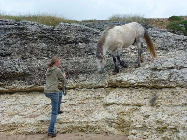 Equilogic-farm-prestations-19