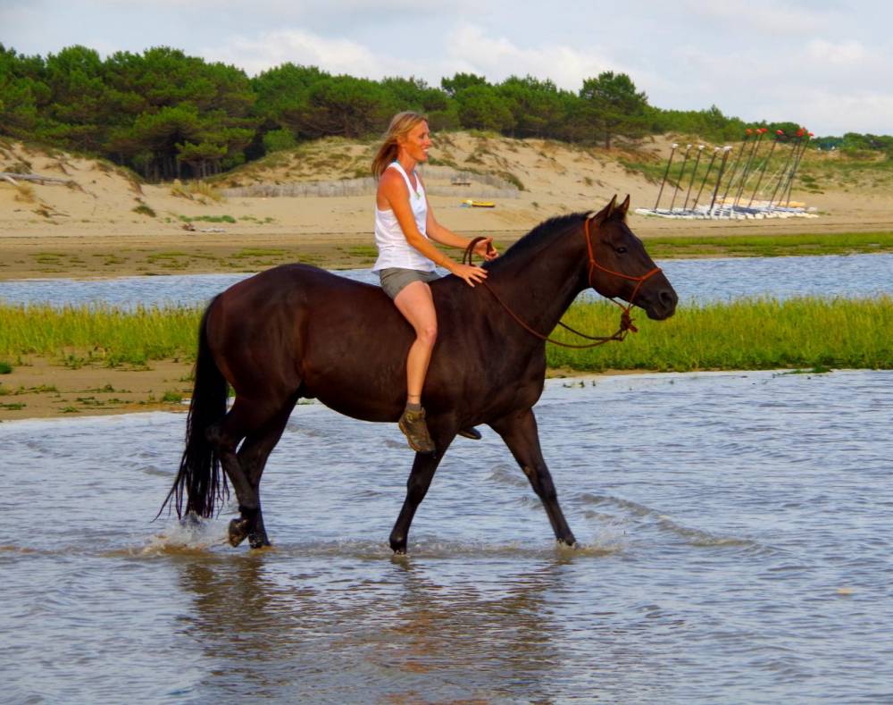 Equilogic Farm 2