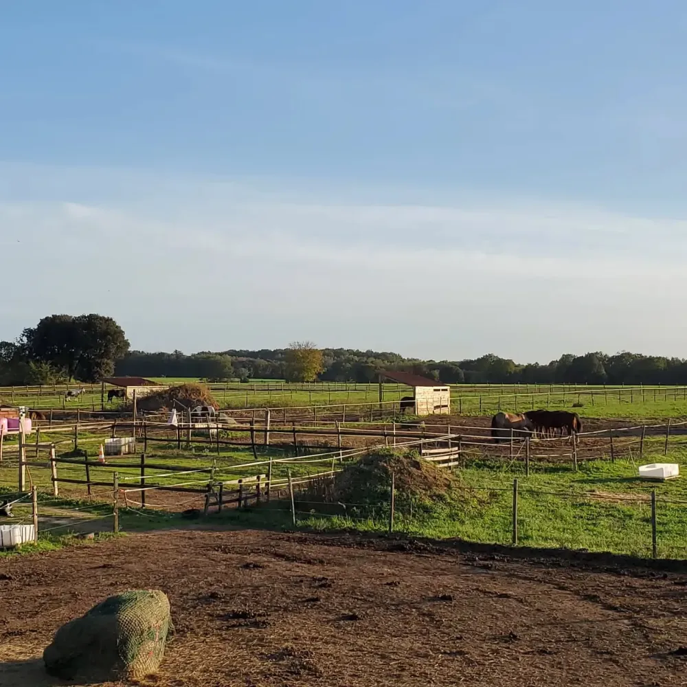 structure des écuries (1)webp