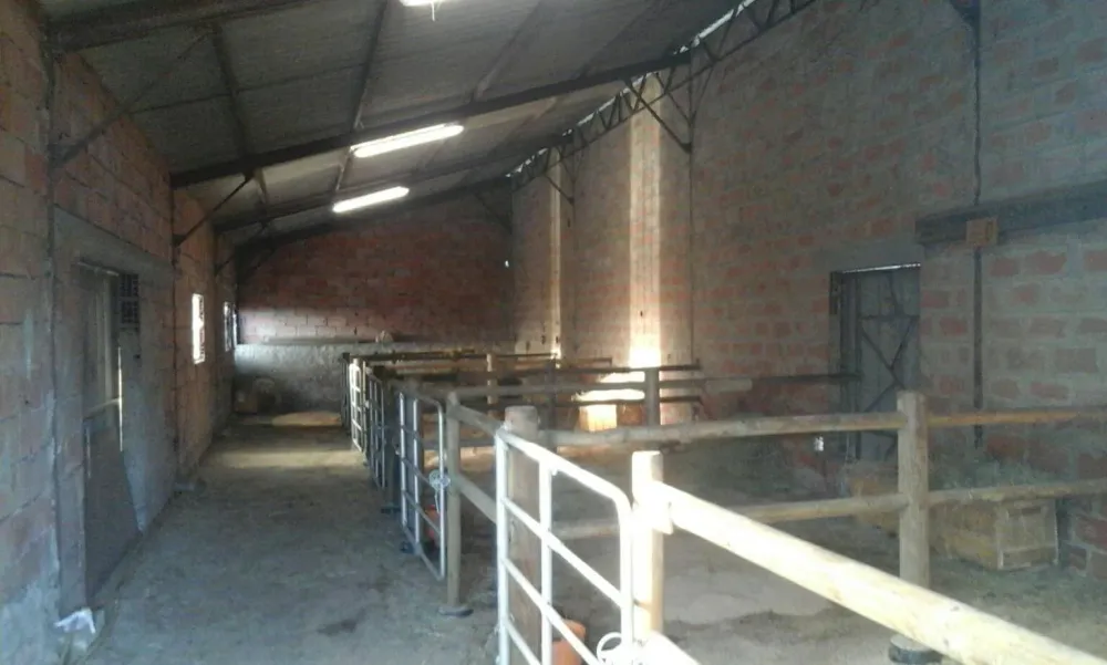 structure des écuries (4)webp