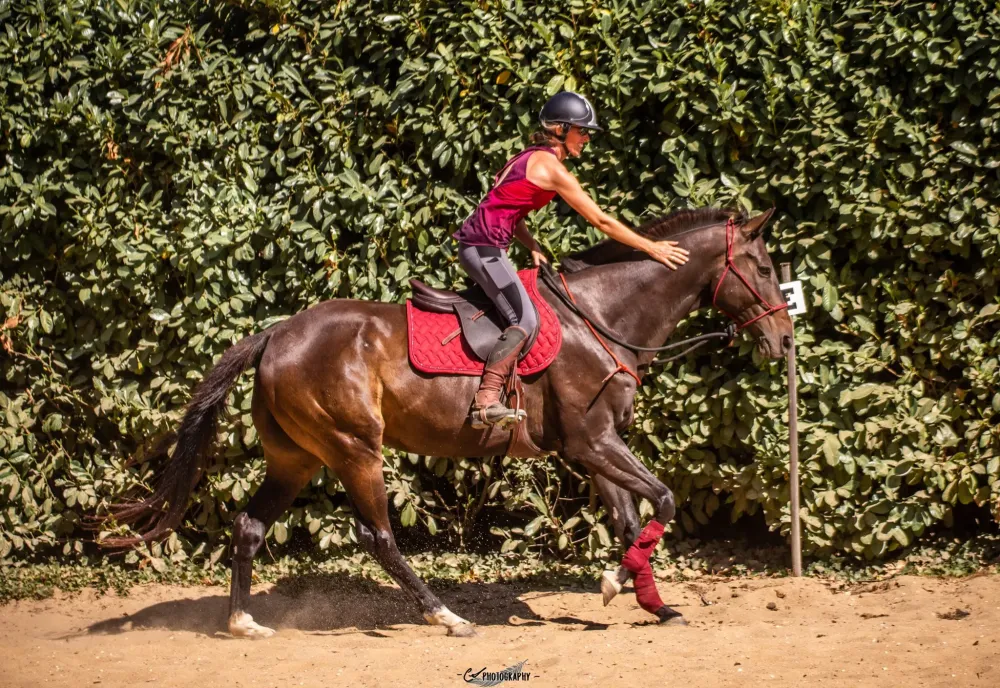 activites equestres (3)