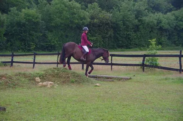 parcours homologué mountain trail (5)webp