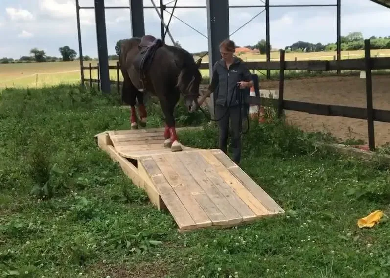 parcours homologué mountain trail (6)webp